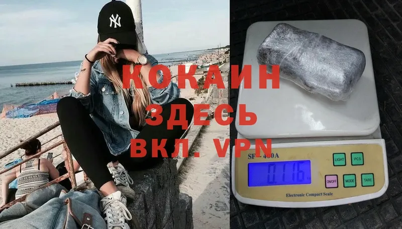 COCAIN Fish Scale Егорьевск